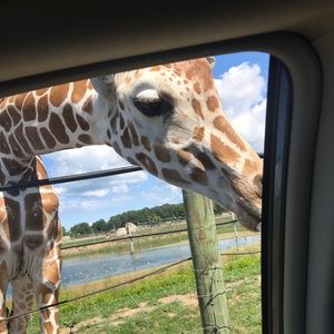 Meet your Posher, Christina